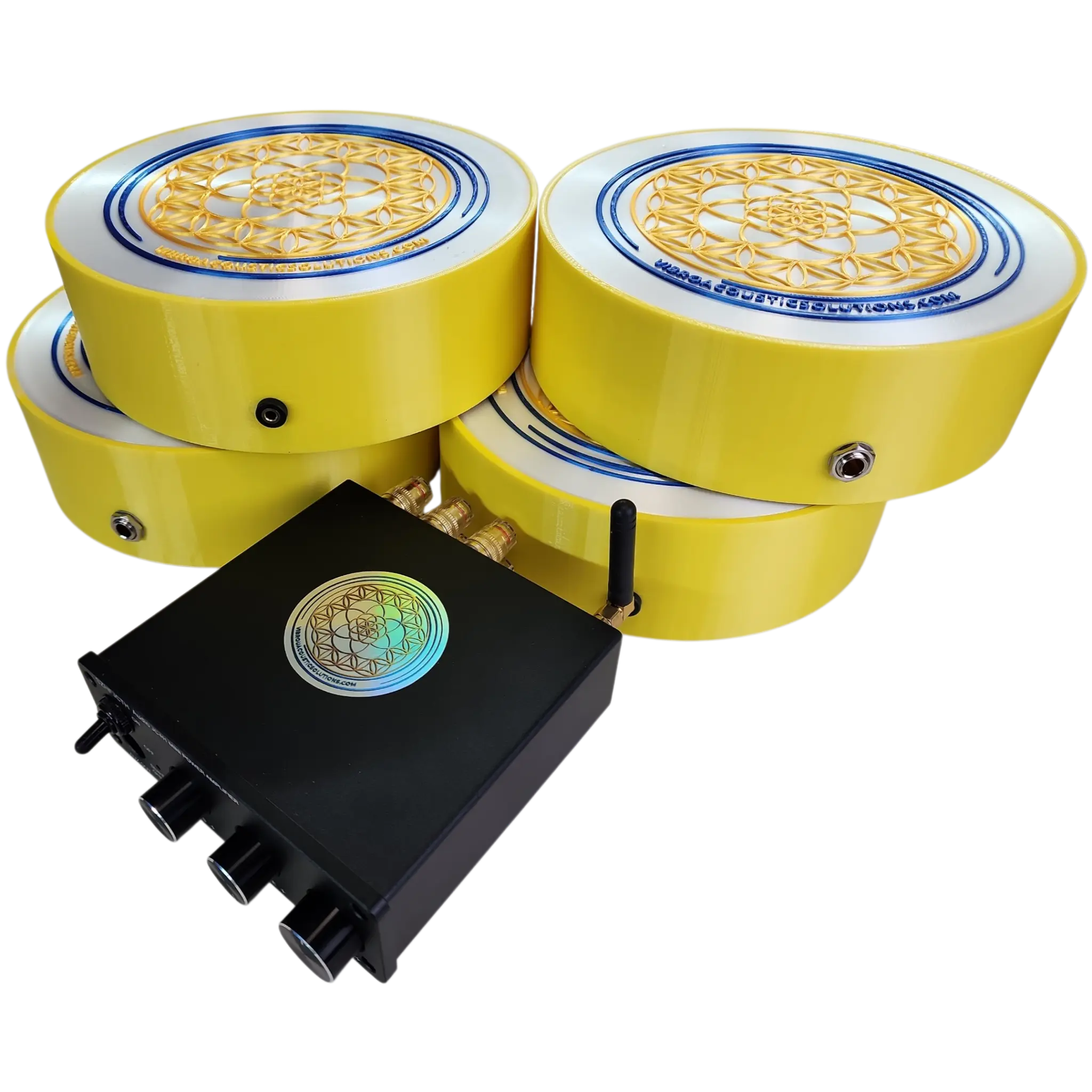 Lymphatic & Cellular Vitality: The Science of Kinetic Circulation